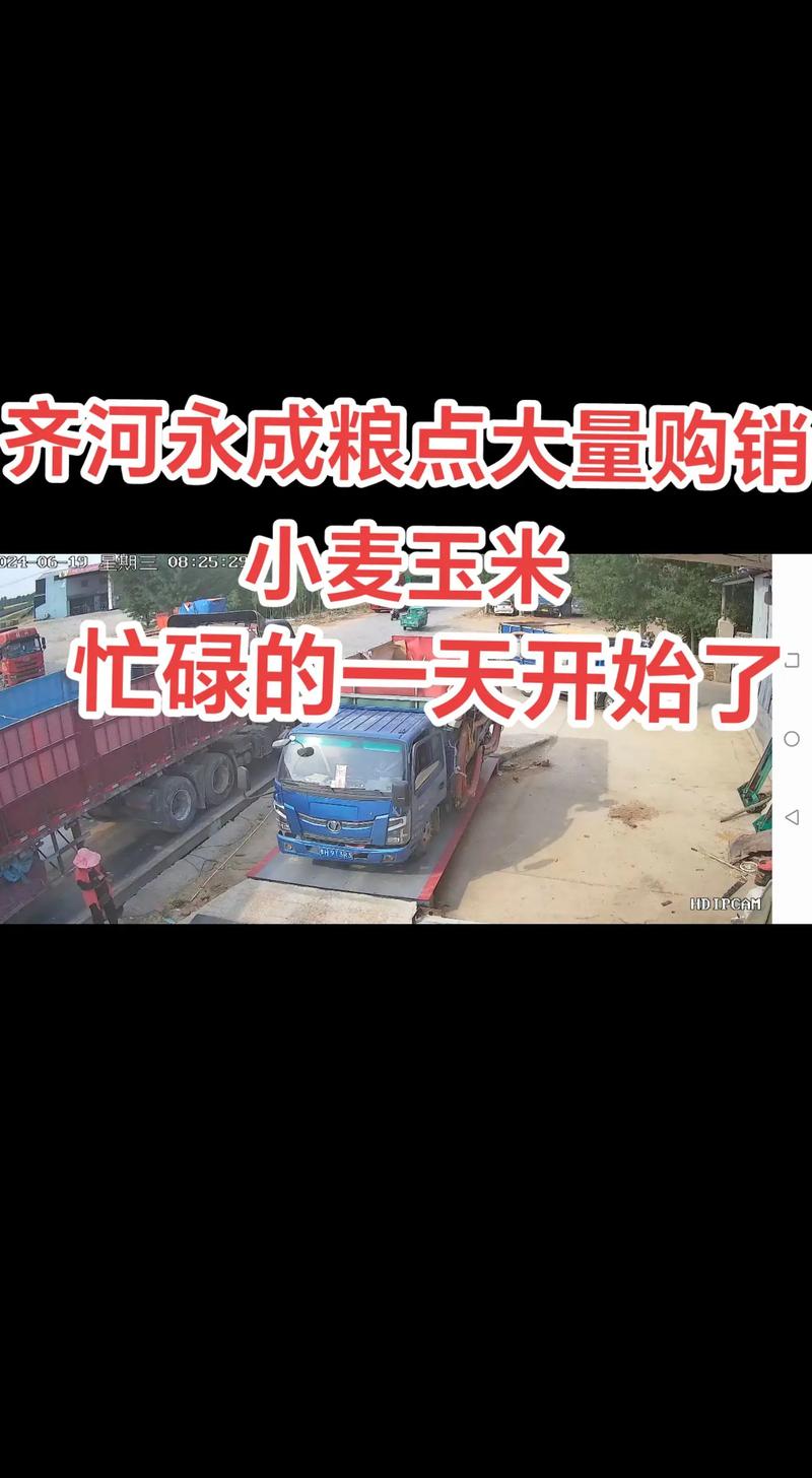 粮食购销行业的动态与挑战