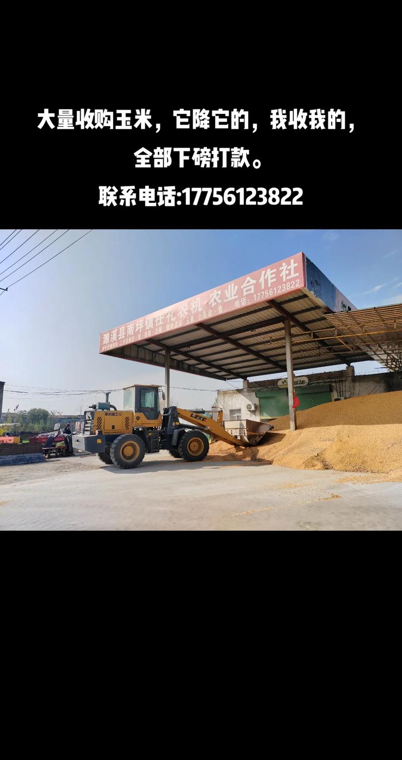 农产品深加工