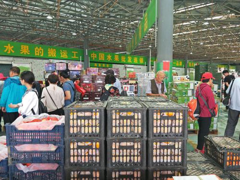 粮食购销选购指南：如何慧眼识优品